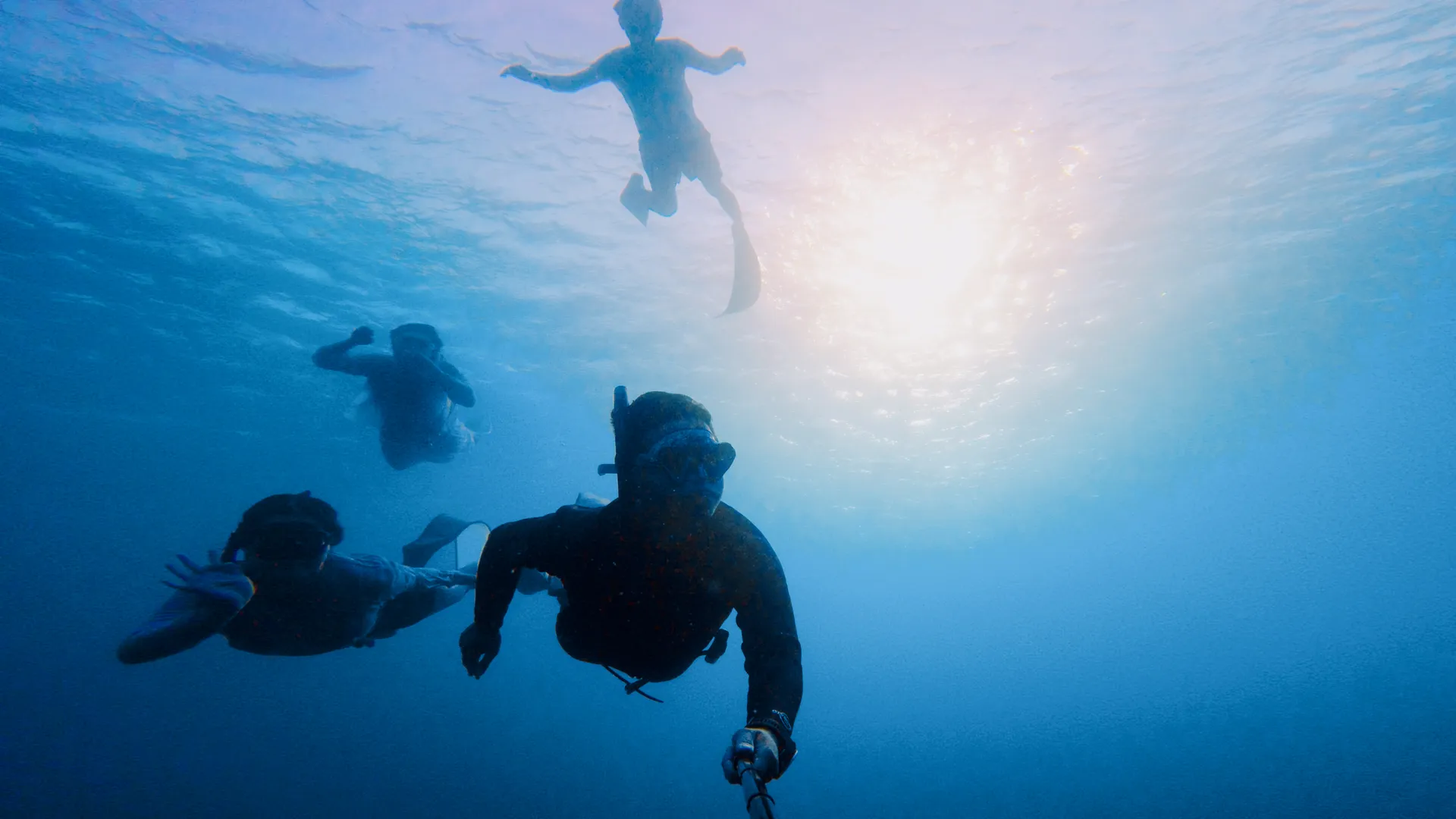 Freedivers silhouetted against sunrays breaking through the surface.