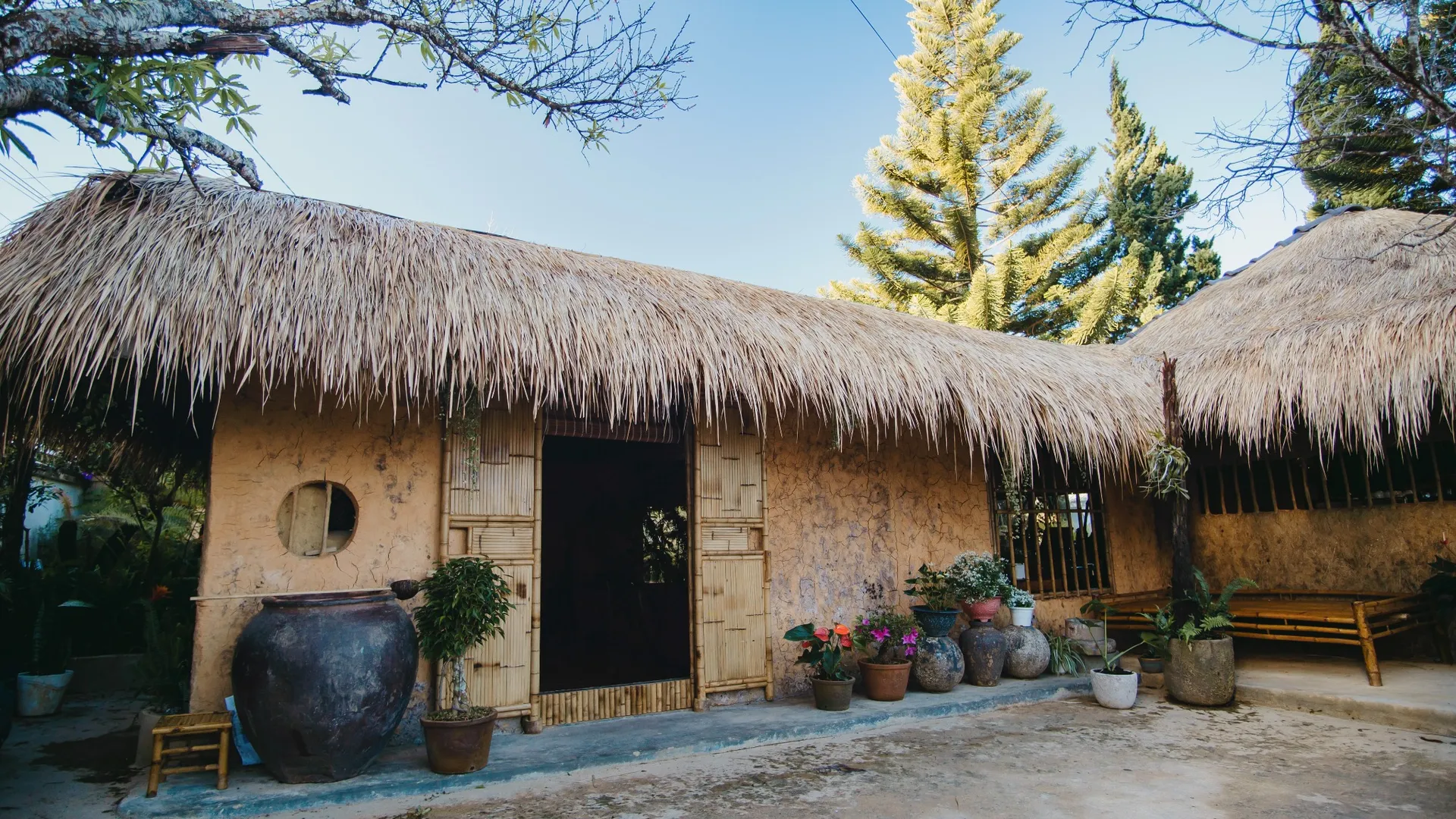 The thatched exterior of a rustic homestay with potted plants along the wall.