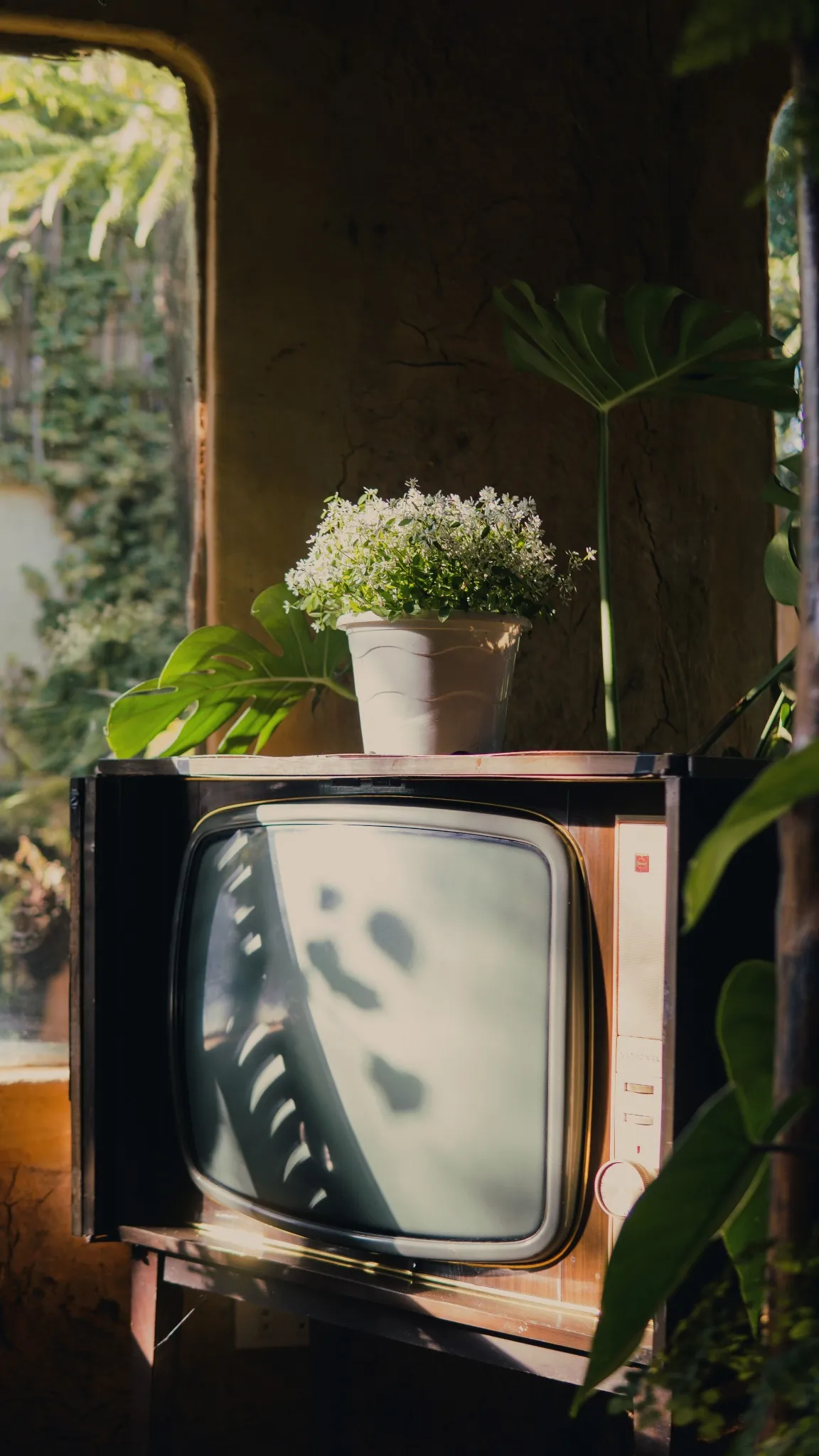 A vintage television and a potted plant in warm interior light.
